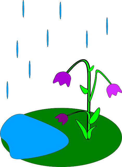 Rain On Flowers Clipart - Rain Clipart Animation (469x640)