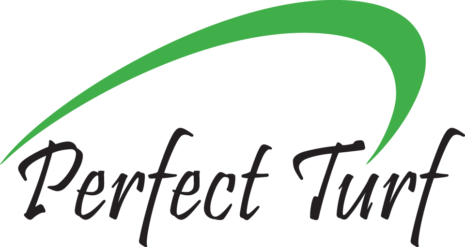 Perfect Turf Perfect Turf - Quotes About Perfectly Imperfect (960x511)