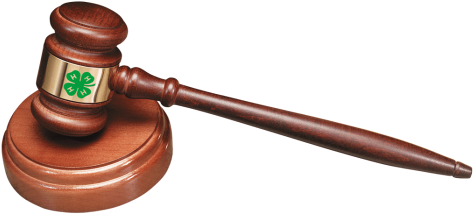 Free Png Gavel Png Images Transparent - 4 H Gavel (480x480)