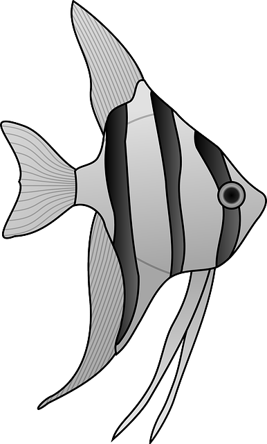 Animals, Outline, Drawing, Cartoon, Angel, Fish - White And Black Angel Fish (386x640)