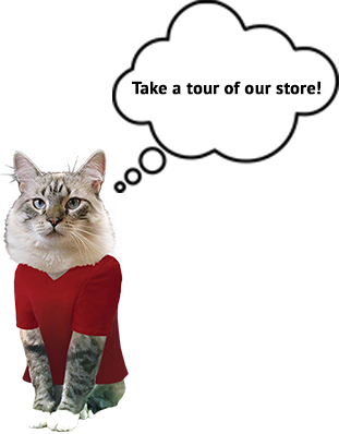 Cat - Fkthssht Wall Calendar (311x398)