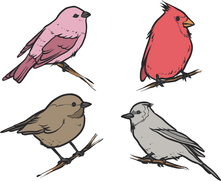 Bird House Sparrow Drawing Clip Art - Bird House Sparrow Drawing Clip Art (758x624)