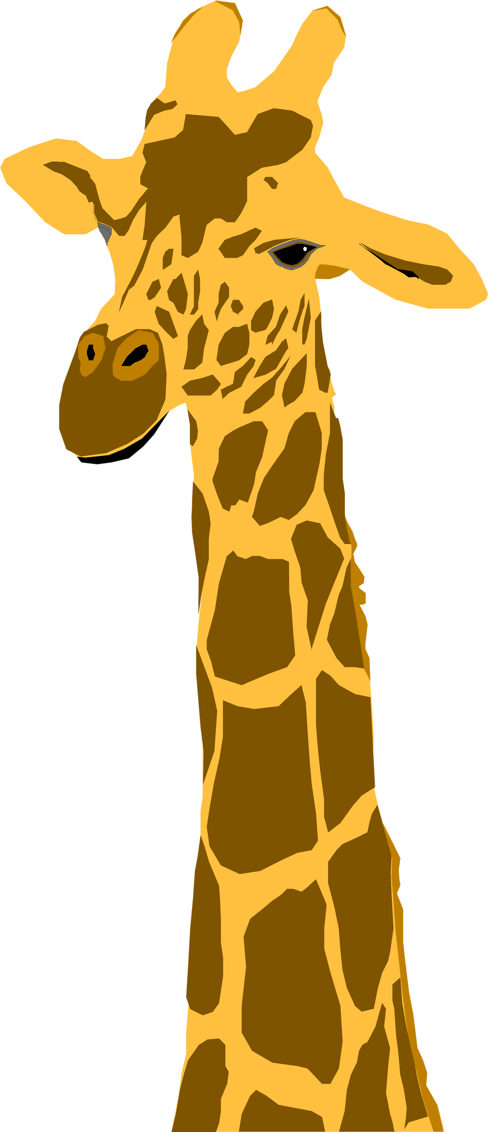Giraffe Clipart Transparent Background - Giraffe Clipart No Background (958x2223)