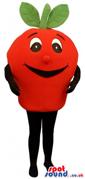 Cute Red Apple - Apple Costume (600x600)