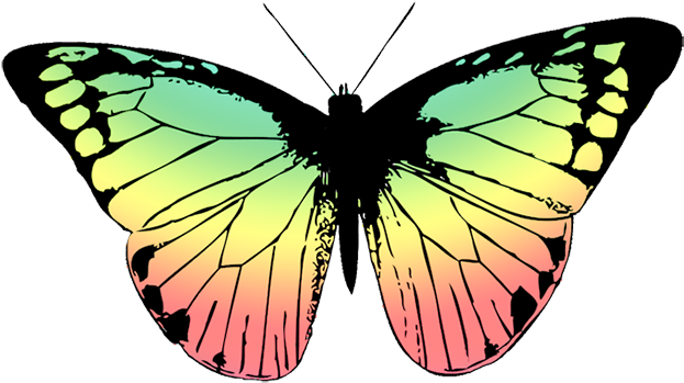 Butterfly With Soft Colored Wings - Butterfly Wing Black And White (650x454)