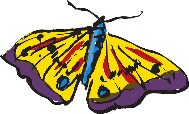 Color Butterfly, Flying, Wings, Art, Insect, Colorful, - Art (640x389)