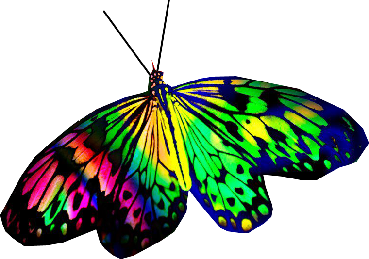 Copyright © 2018 Color Pride Creation - Skipper (butterfly) (760x534)