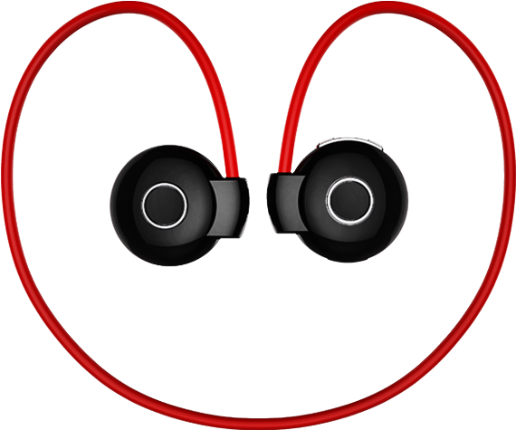 Built For Intense Workouts - Lobster (585x650)