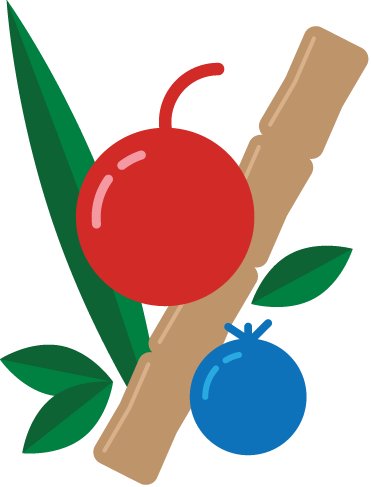 Fruit-04 - Portable Network Graphics (371x487)