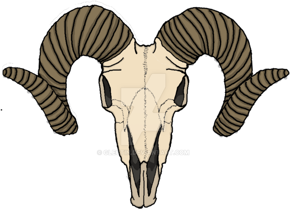 Goat Skull By Glectin - Goat Skeleton Head (1024x892)