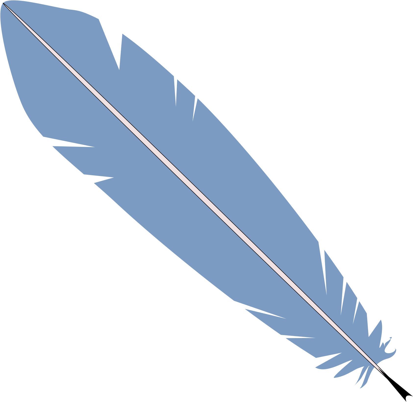 Feather Quill Bird Clip Art - Feather Quill Bird Clip Art (2400x3394)