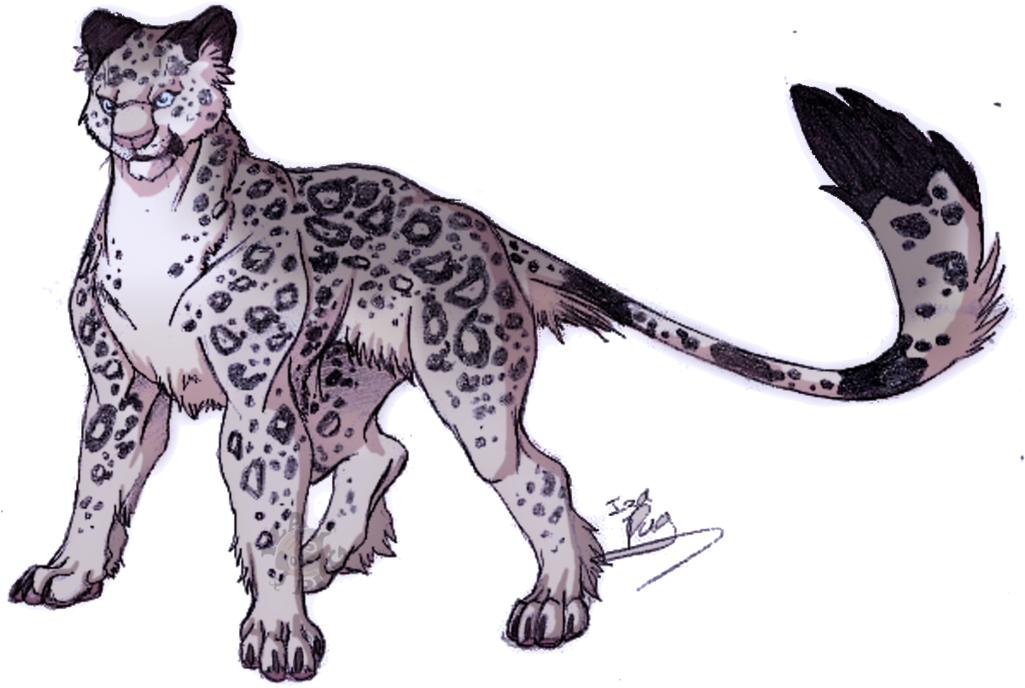 Snow Leopard By Izapug - Snow Leopard Anime Drawings (1024x744)