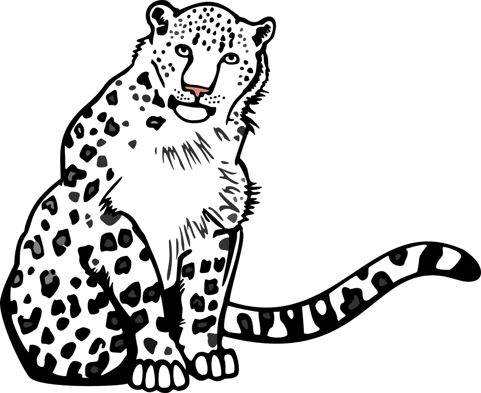 Linework Of All The Shapes - Outlines Of A Snow Leopard (1600x1307)