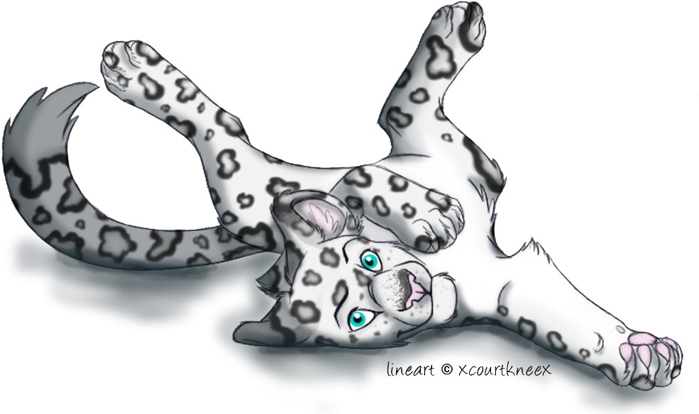 Closed Snow Leopard Adoptable By Snowwhitesangel - Cat Line Art (1000x600)