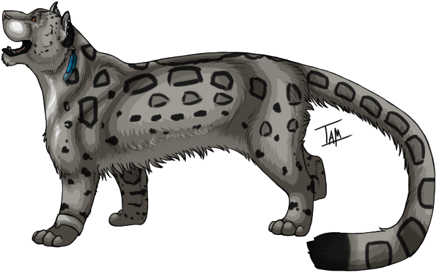 Irbis' Snow Leopard - Cat Jumps (639x403)