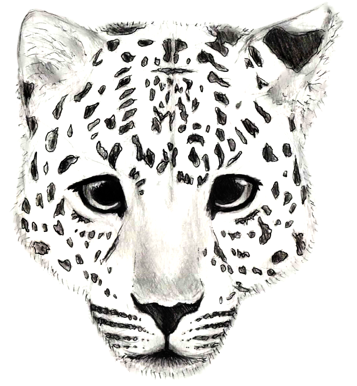 Final Major Project - Jaguar (1771x1535)