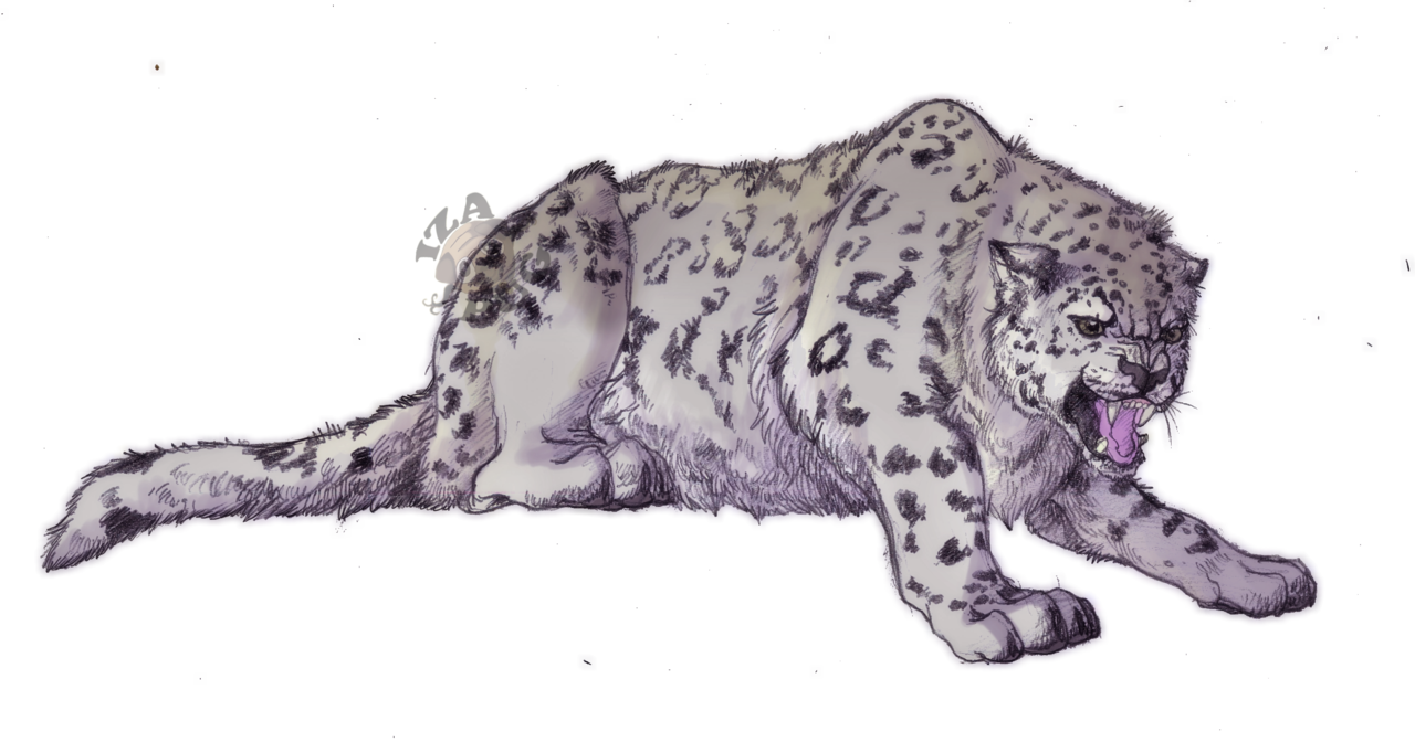 Angry Snow Leopard By Izapug On Deviantart - Drawing (1280x672)