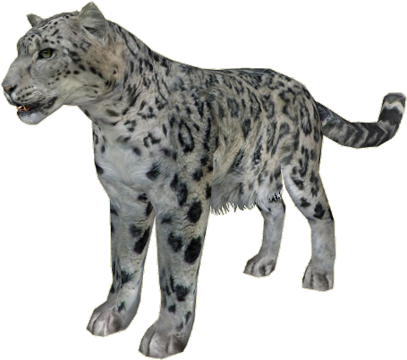 Snowleopard Ludozoo - Jaguar (600x450)