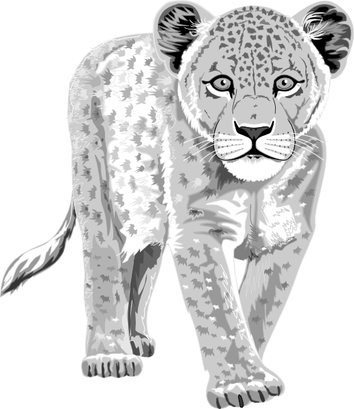 Snow Leopard Clipart Chibi - Snow Leopard Clip Art (516x596)