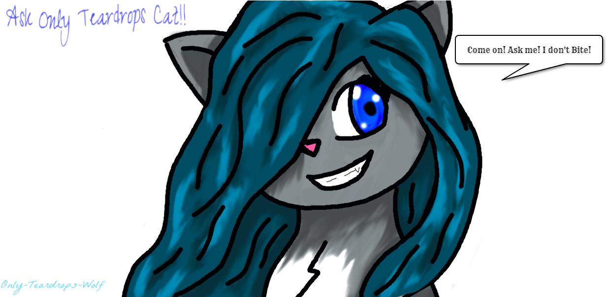 Only Teardrops Cat By Only Teardrops Wolf - Cartoon (1240x604)