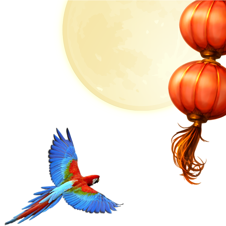 Parrot Download Clip Art - Parrot Download Clip Art (1002x1074)