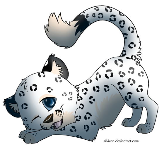 Snow Leopard Clipart - Snow Leopard (560x510)