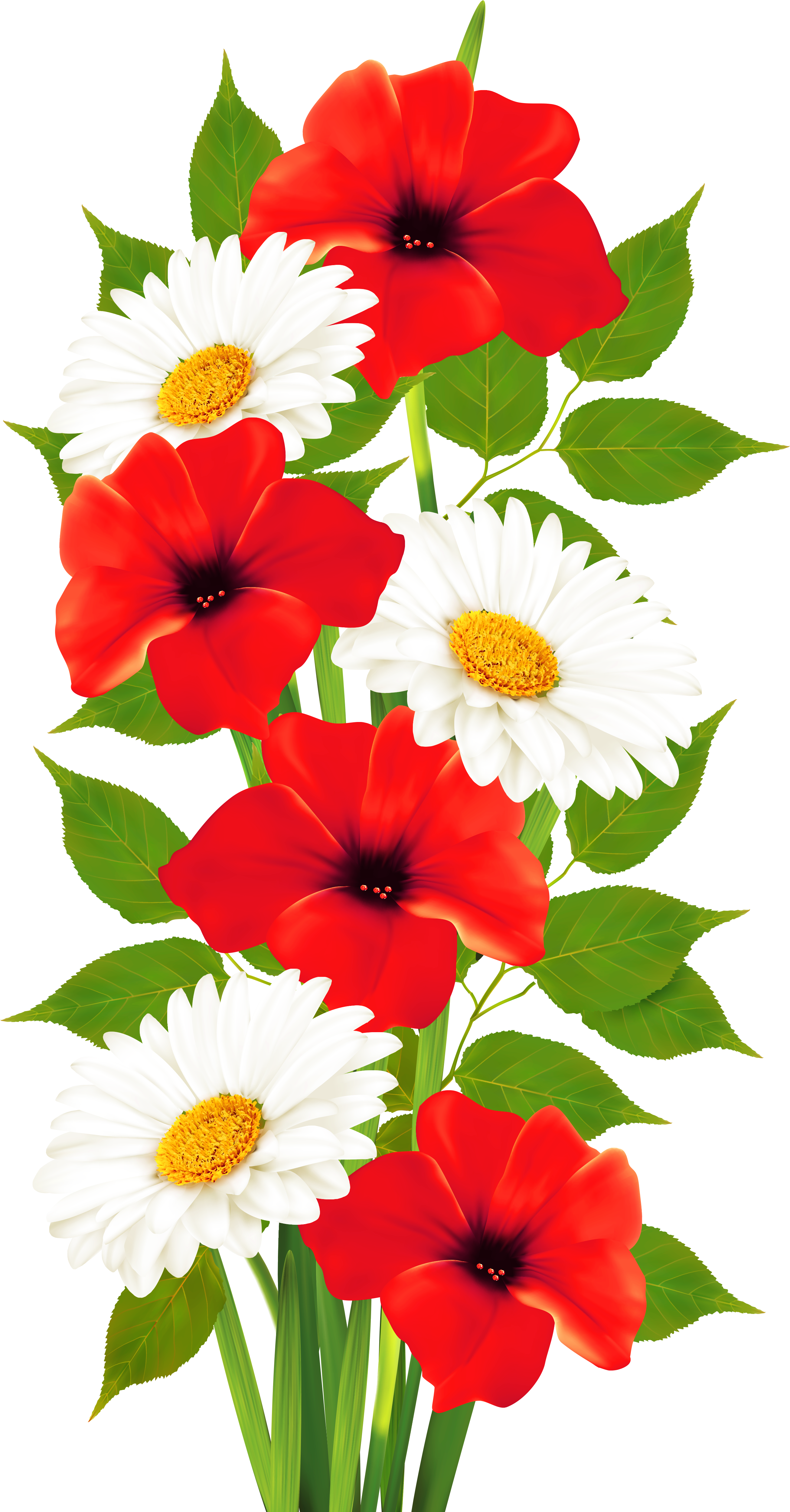 Poppy Clipart Transparent Background - Transparent Background Flowers Png (2860x5180)