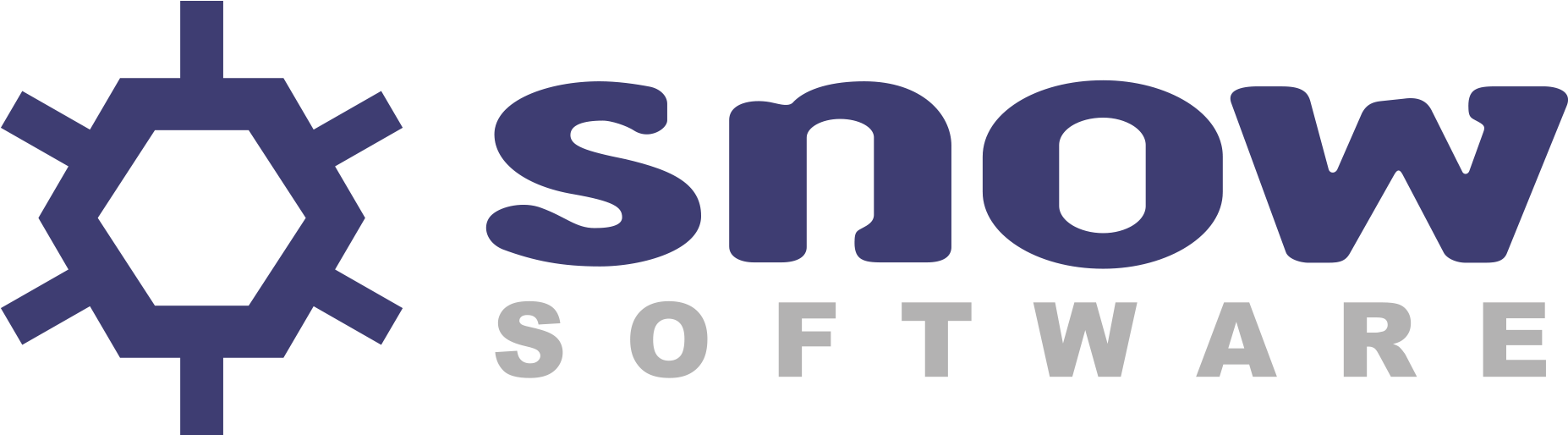 Snow Software Logo (1878x585)