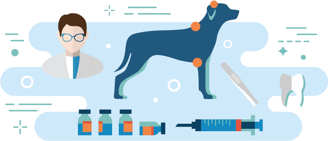 Medical & Preventive Care - Dog Catches Something (1168x625)