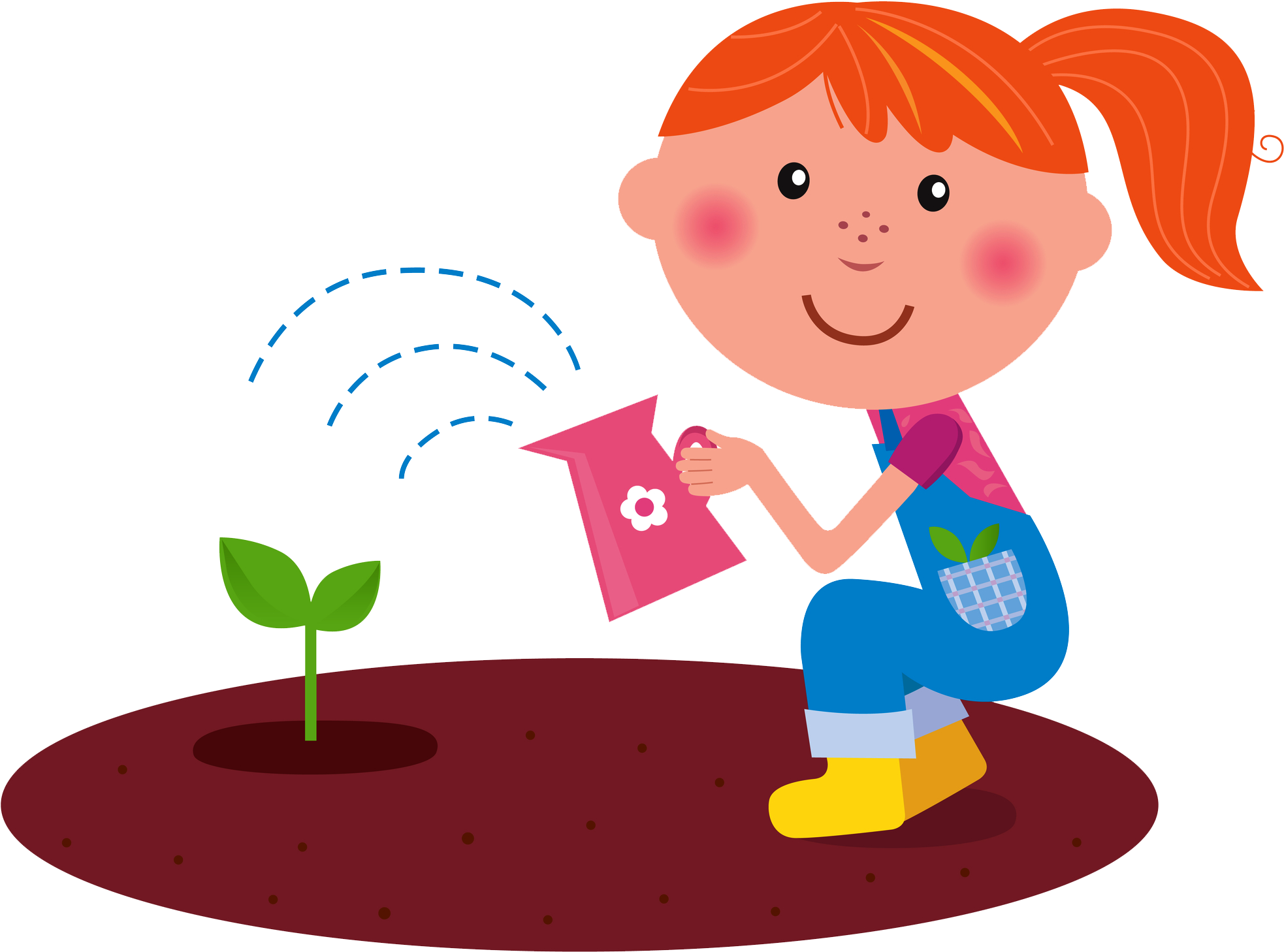 Account Requirements - Niña Regando Plantas (2013x1548)