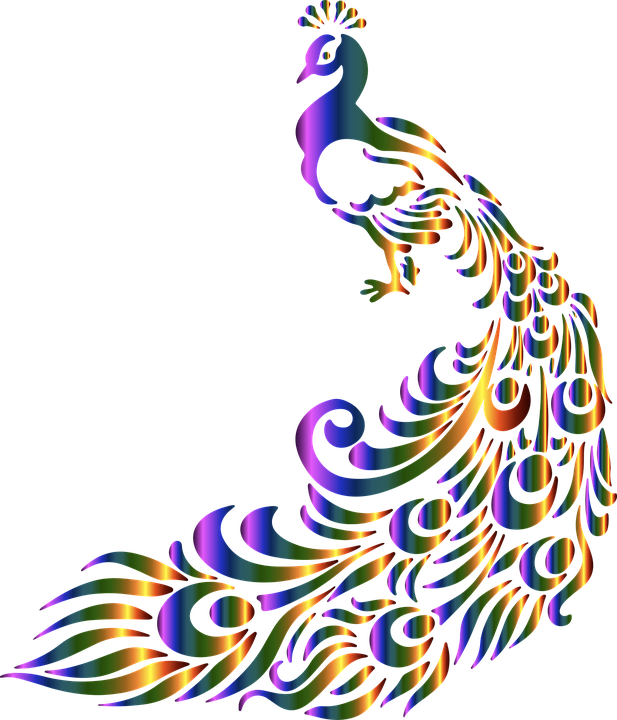 Asiatic Peafowl Black And White Feather Clip Art - Asiatic Peafowl Black And White Feather Clip Art (617x720)