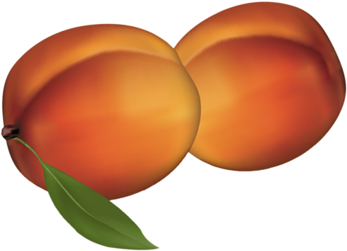 0 1808d8 D19cdb36 Xl - Nectarine (500x363)