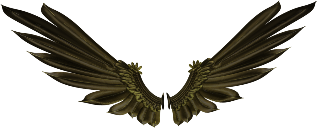 Bird Desktop Wallpaper Clip Art - Wings Of Gold Png (1024x639)