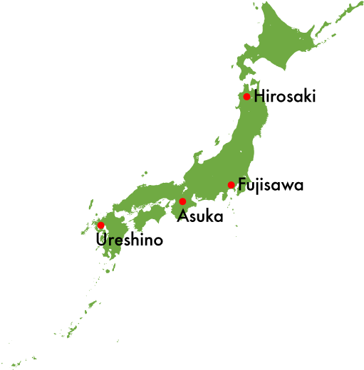 Okinawa Ishigaki Island Map (527x549)