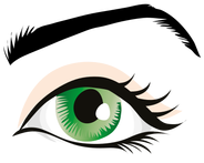 Vector Illustration Of Green Eye With Pink Shading - Eye Clip Art (353x500)