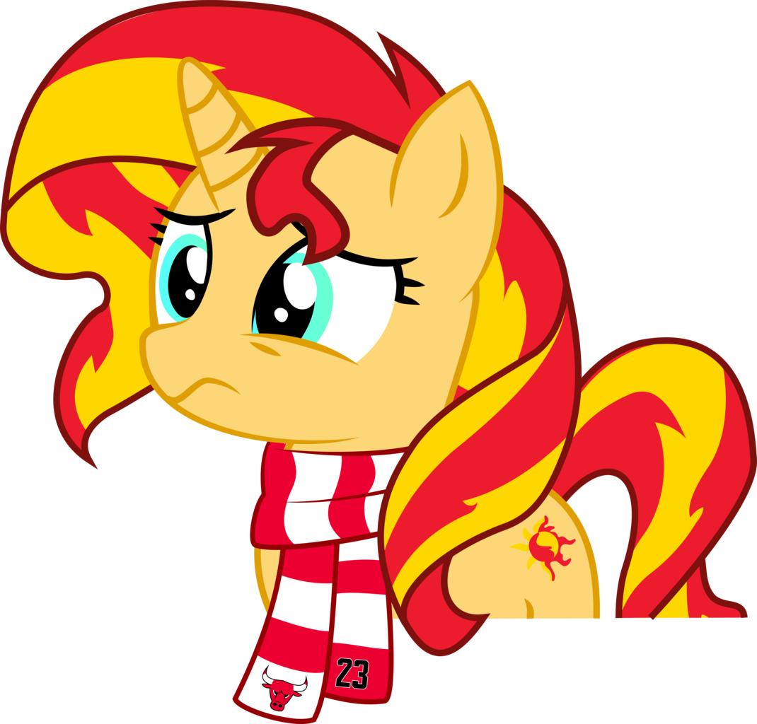 Artist Needed, Chicago Bulls, Clothes, Female, Mare, - Cartoon (1070x1024)