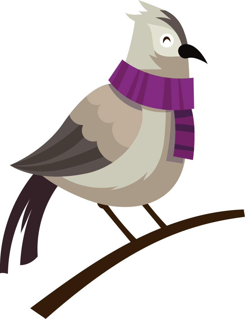Bird Feather Beak Illustration - Illustration (809x1052)
