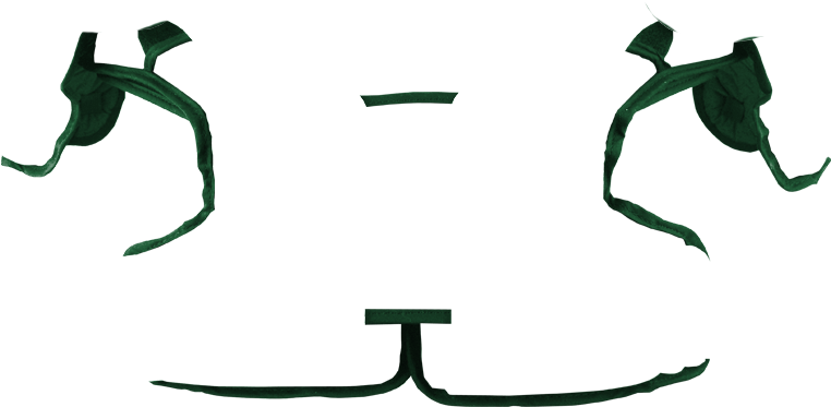 Bias Color - Silhouette (800x800)