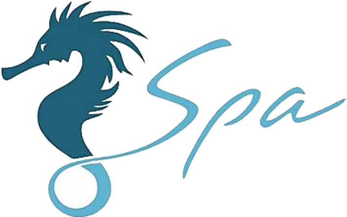 Seahorse Logo - Hippocampus Flag - Seahorse Logo (800x800)