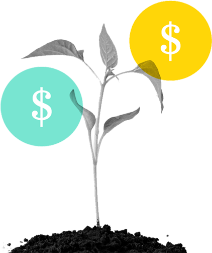 التمويل المتناهي الصغر - Planting A Seed (956x720)