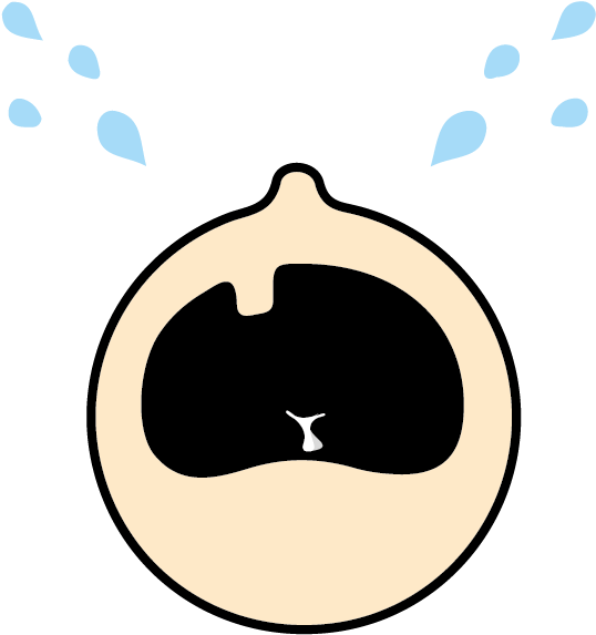 Stichting La Vecina (1042x1042)