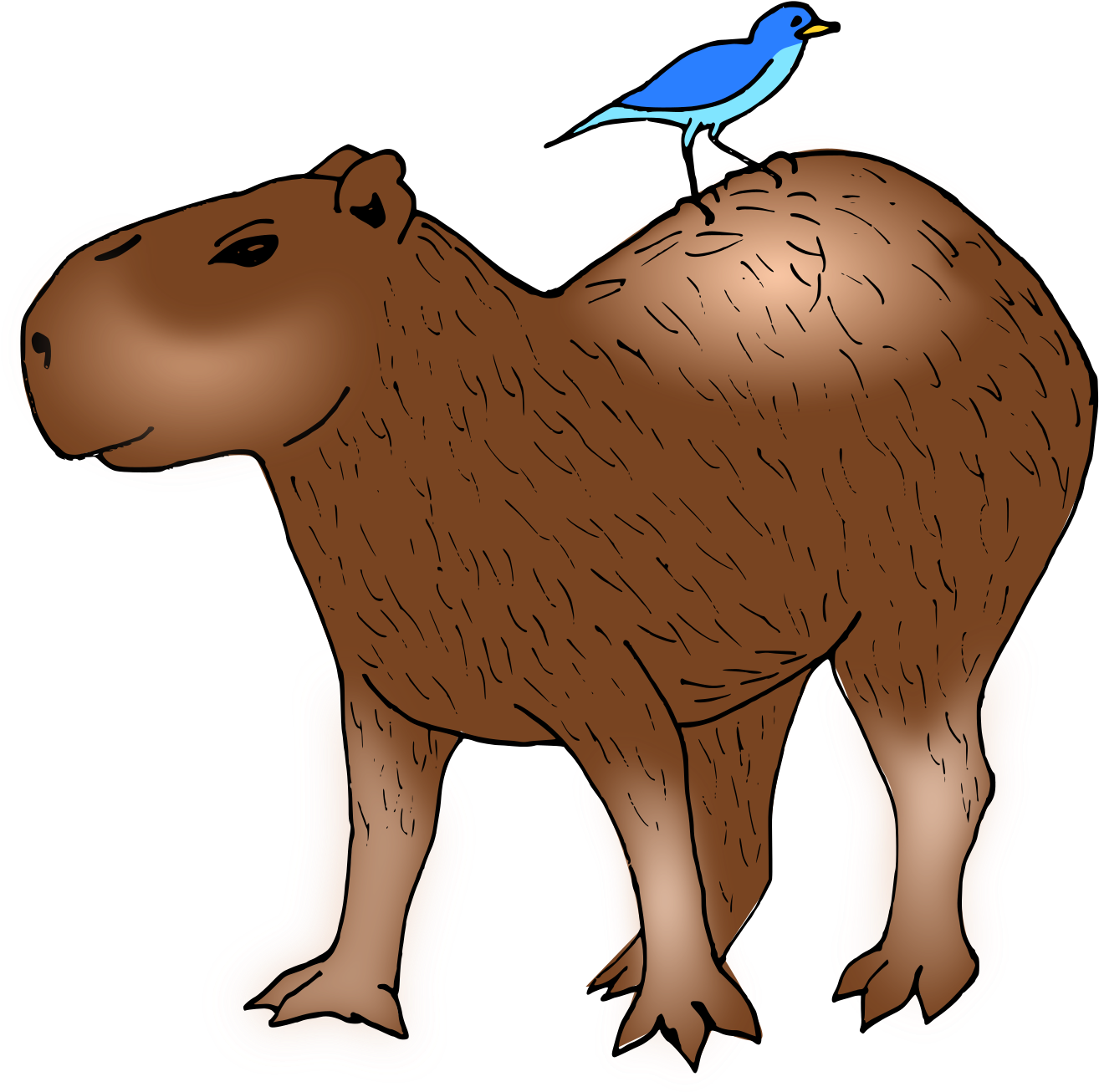 Capybara Hamster Rodent Guinea Pig Clip Art - Capybara Hamster Rodent Guinea Pig Clip Art (1855x2400)
