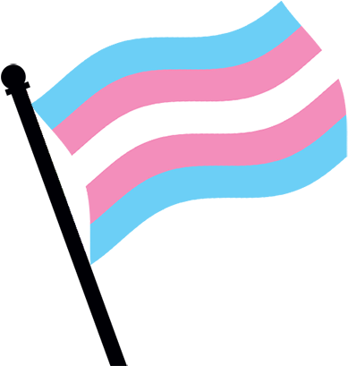 November 20 What's The T - Transgender Flag Clipart Transparent (408x408)