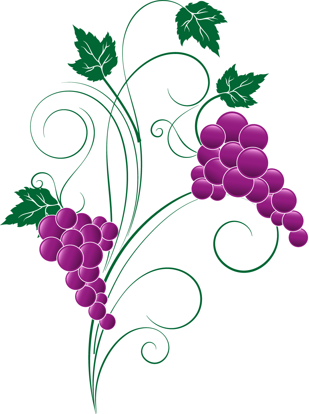 Grape Clipart Png Image 02 - Grape (1057x1419)
