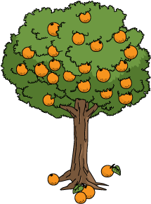 Decoration-orangetree - Illustration (460x460)