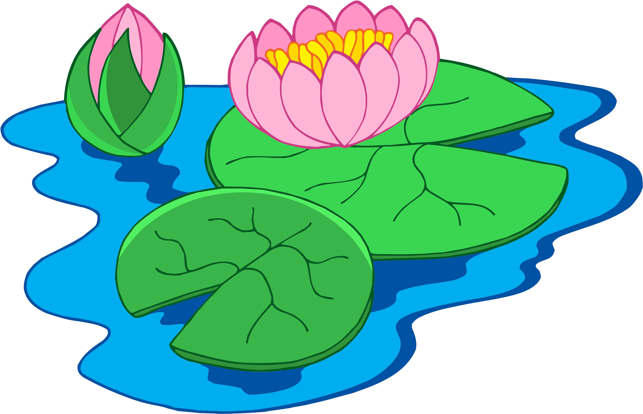 Nymphaea Alba Clip Art - Water Lily Plant Clipart (2281x1532)