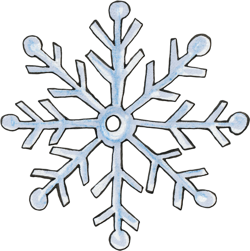 Winter Extravaganza Dvd Sales - Winter Extravaganza Dvd Sales (889x890)