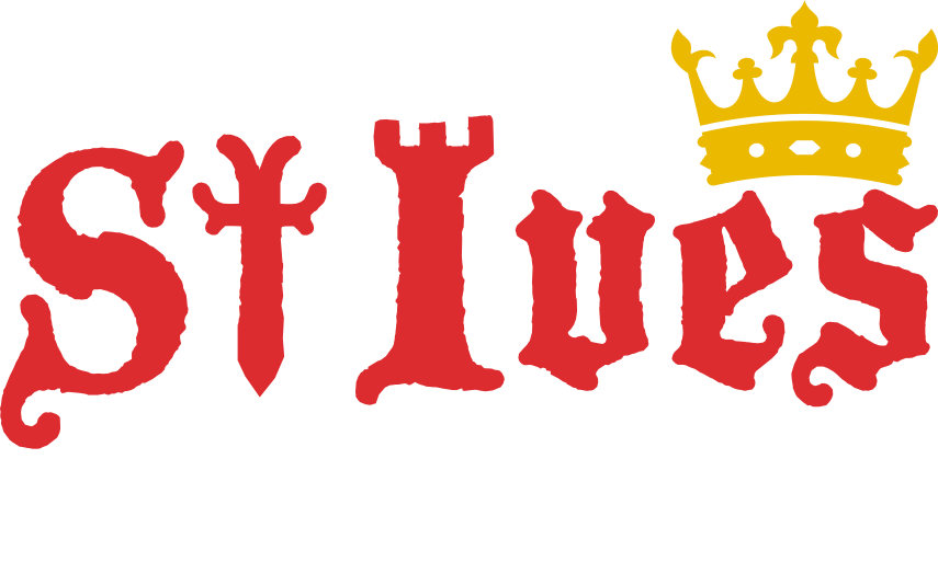 St Ives Medieval Faire - Most Awesome Mom Queen Duvet (855x513)