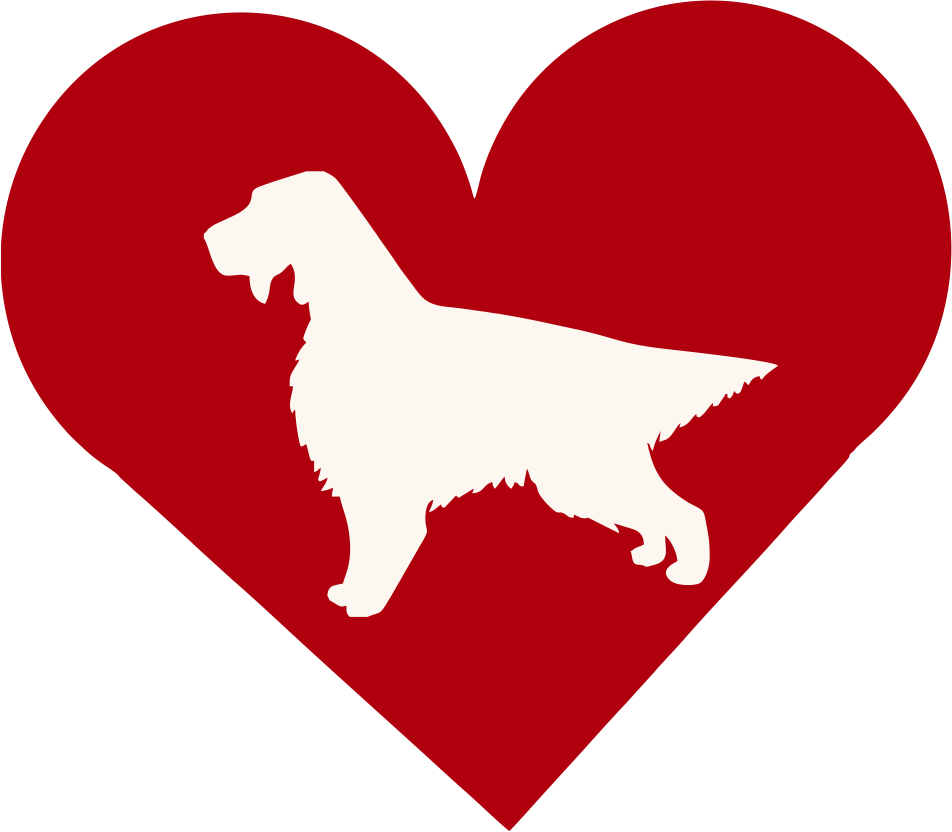 English Setter In Heart Outdoor Vinyl Silhouette - Nova Scotia Duck Tolling Retriever (952x832)