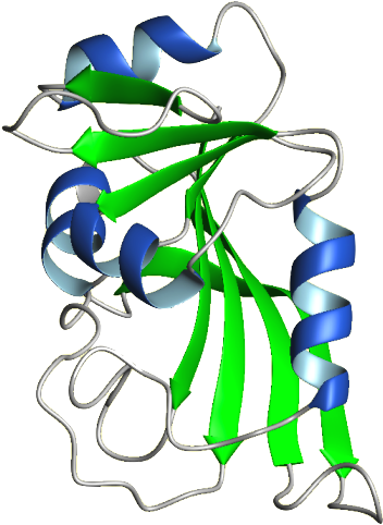 Dhfr Structure (388x530)